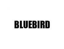 BLUEBIRD