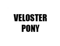 VELOSTER / PONY